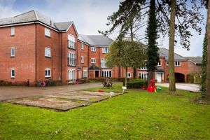 Photo 3- click for photo gallery